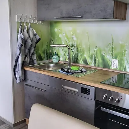 Apartment Marie-luise Hahnenklee