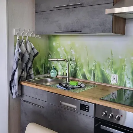 Apartment Marie-luise Hahnenklee